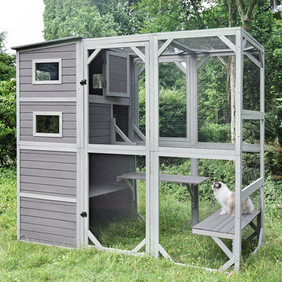 Cat Cages & Catios