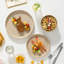 Piece Stoneware Dinnerware Set - Service for 4-833521332