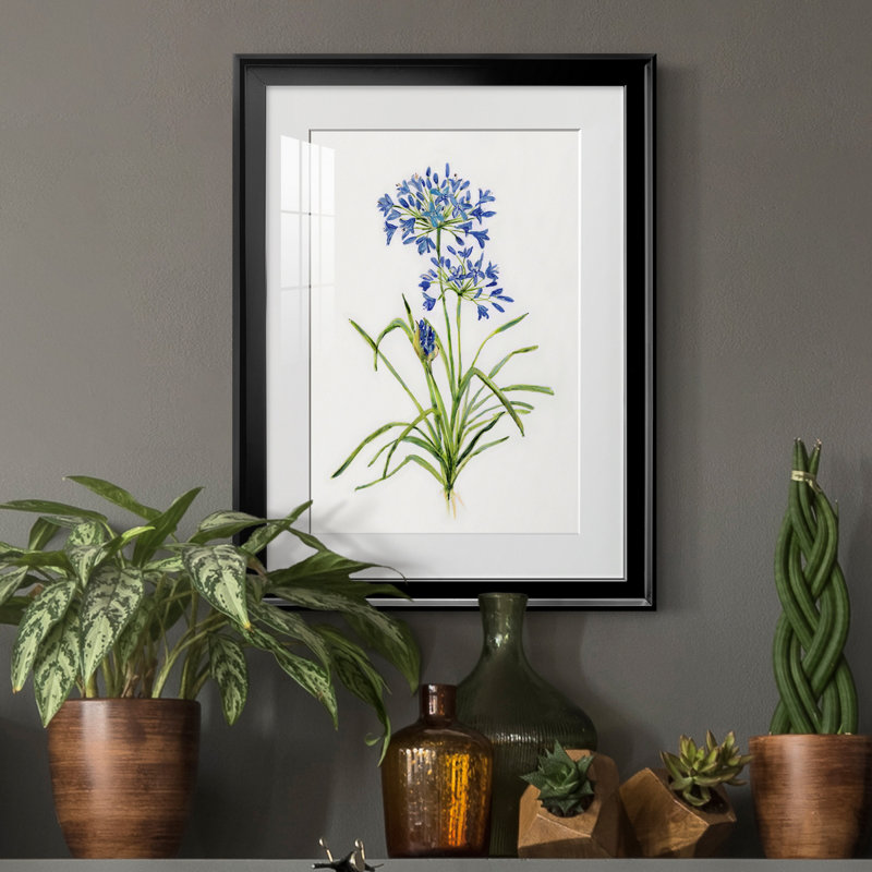 Blue Lived Botanical I - Cadre photo, reproduction d'art sur papier, H 18,5 po x l 24,5 po x P 1,5 po, Noir