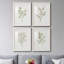 Simple Sprig I - ensemble de 4 reproductions de cadres photo-2075732640-2075732641