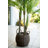 62'' Faux Palm Tree in Basket