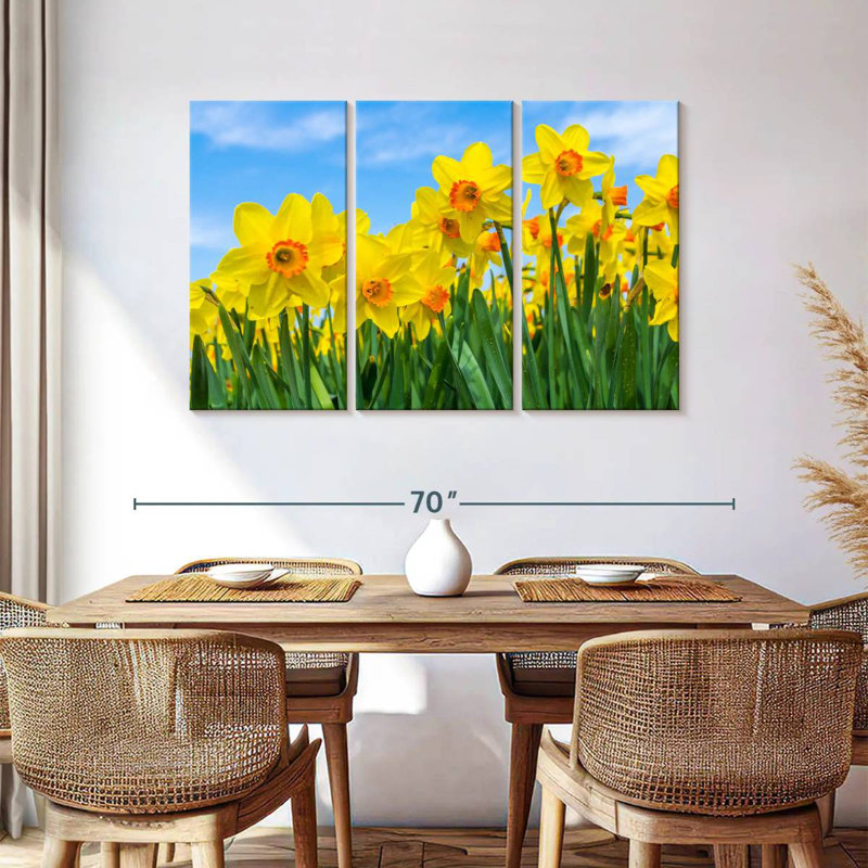 Dutch Master Daffodils, H 36 po x l 57 po