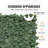 Plastic Border Fencing-99998878