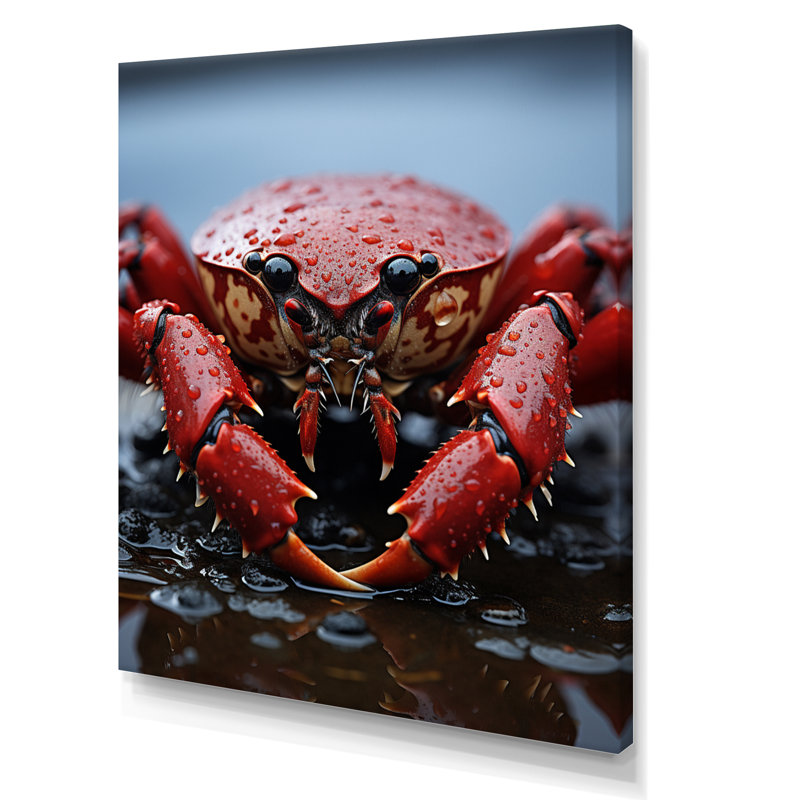 Corail gris homard Portrait vibrant - impression, H 32 po x l 16 po x P 1 po, Toile tendue
