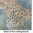 Cheetah Glass Cutting Board Large