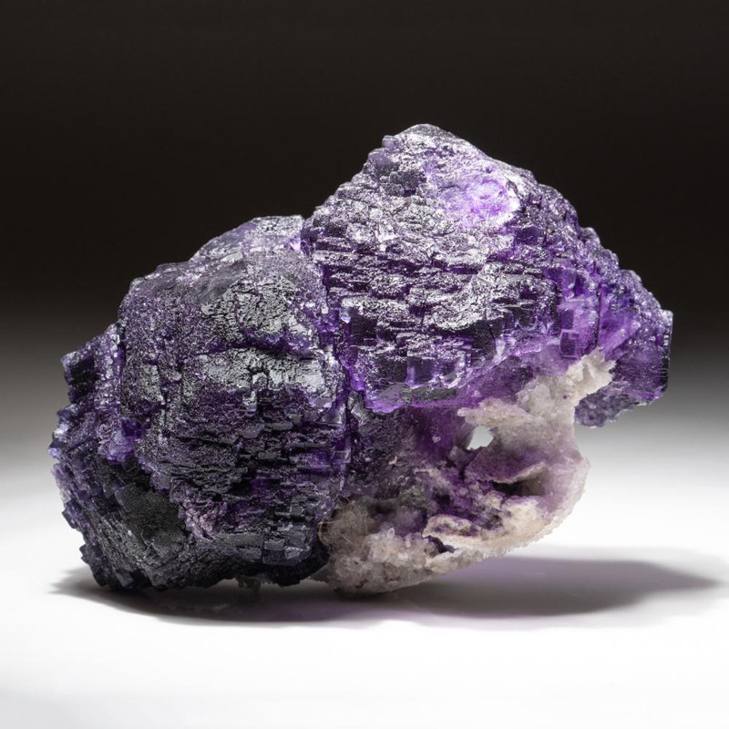 Véritable grappe de fluorescence mauve