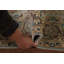 Tapis traditionnel géométrique rose