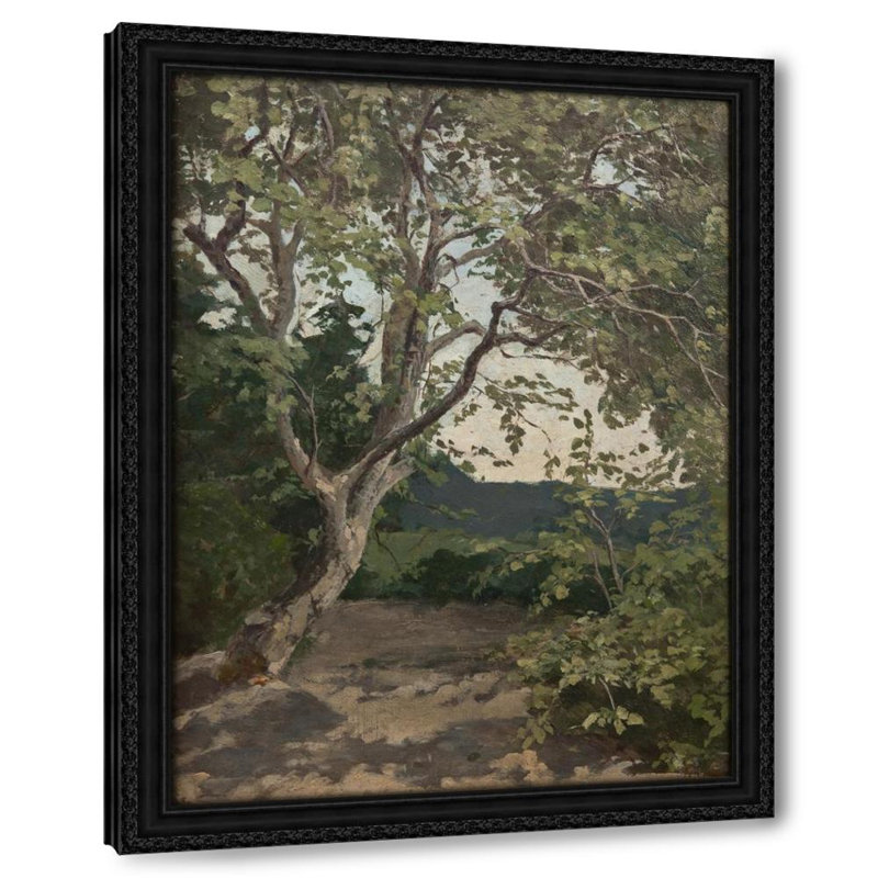 A Tree. Study, 24" H x 19" W