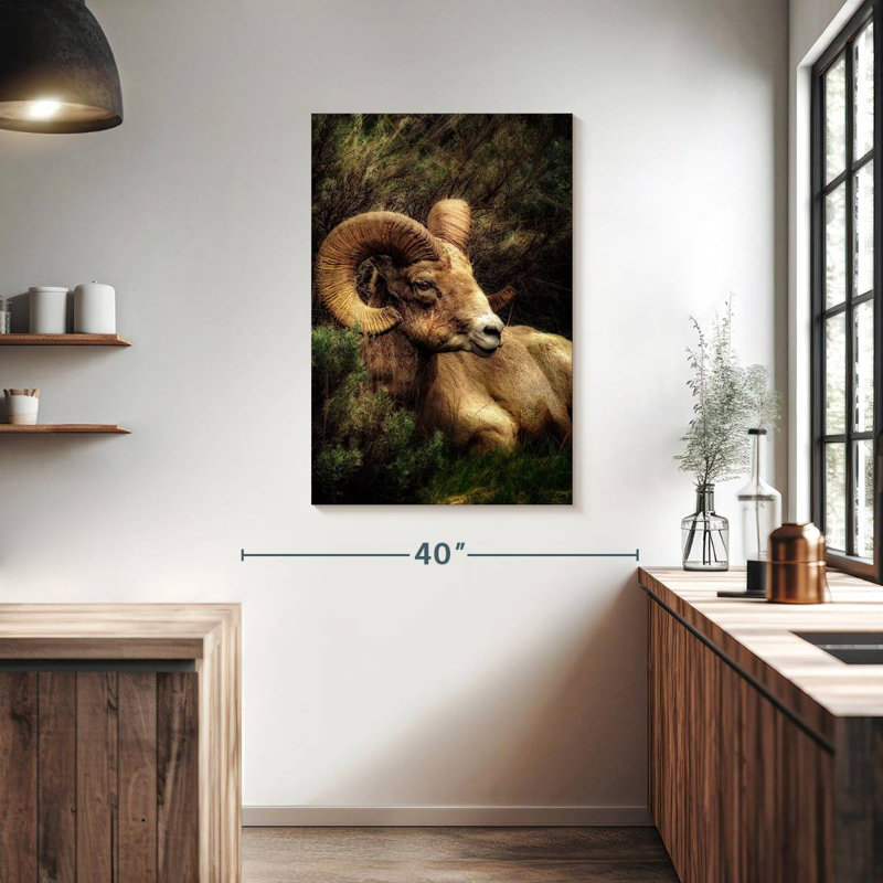 Brampt Yellowstone Bighorn Ram, 39" H x 26" W