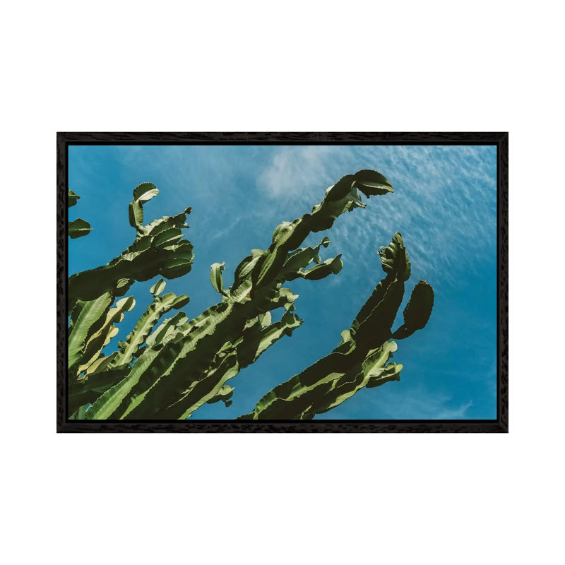 Cactus Sky III by Bethany Young - Print on Canvas, 101.6cm H x 152.4cm W x 3.81cm D, Black Framed