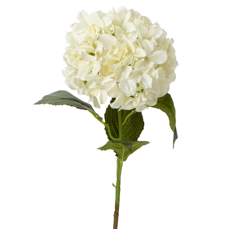 Tige de hortensias artificielle, Ivoire