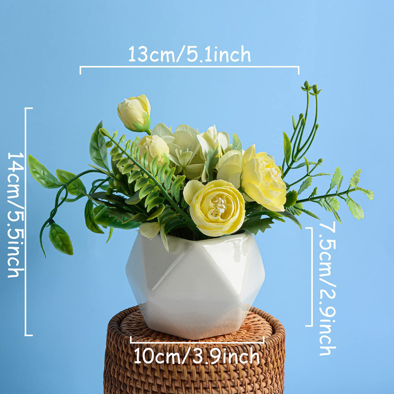 Capps Arrangement in Pot