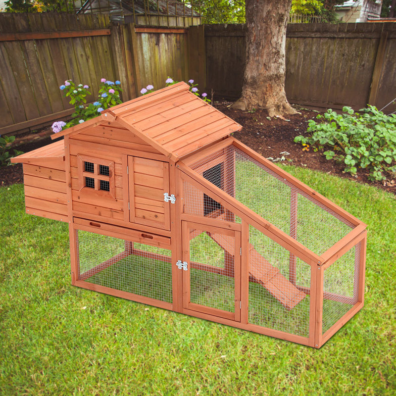 Mouse Cage