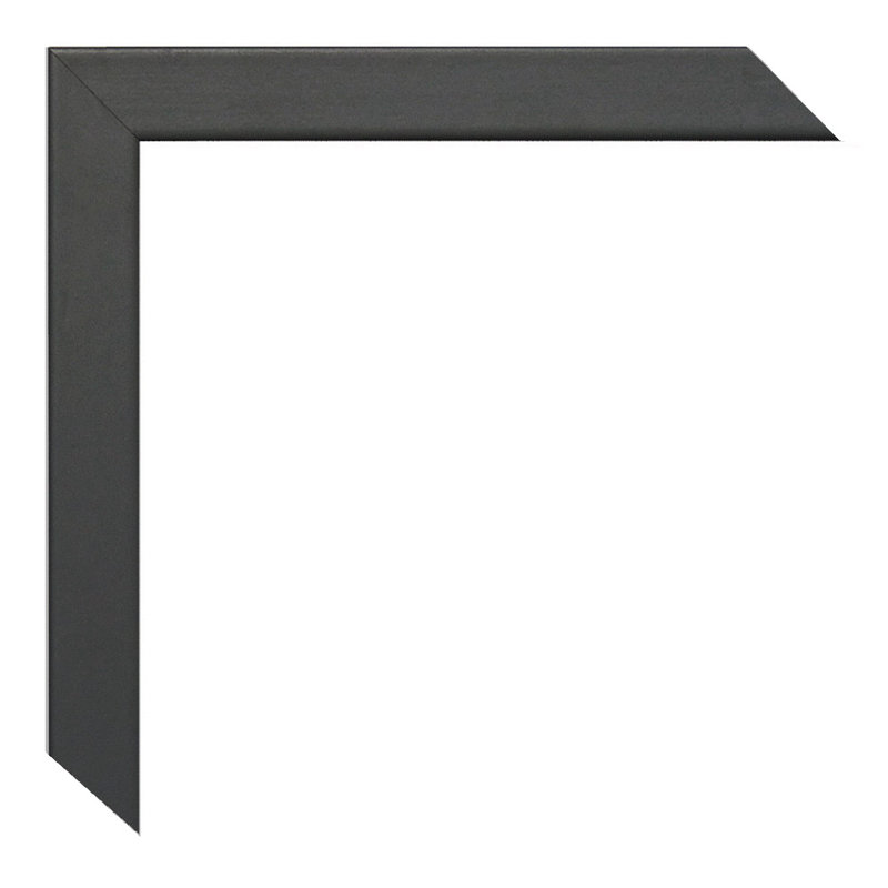Spahn Wood Picture Frame with Mat, Dark Grey