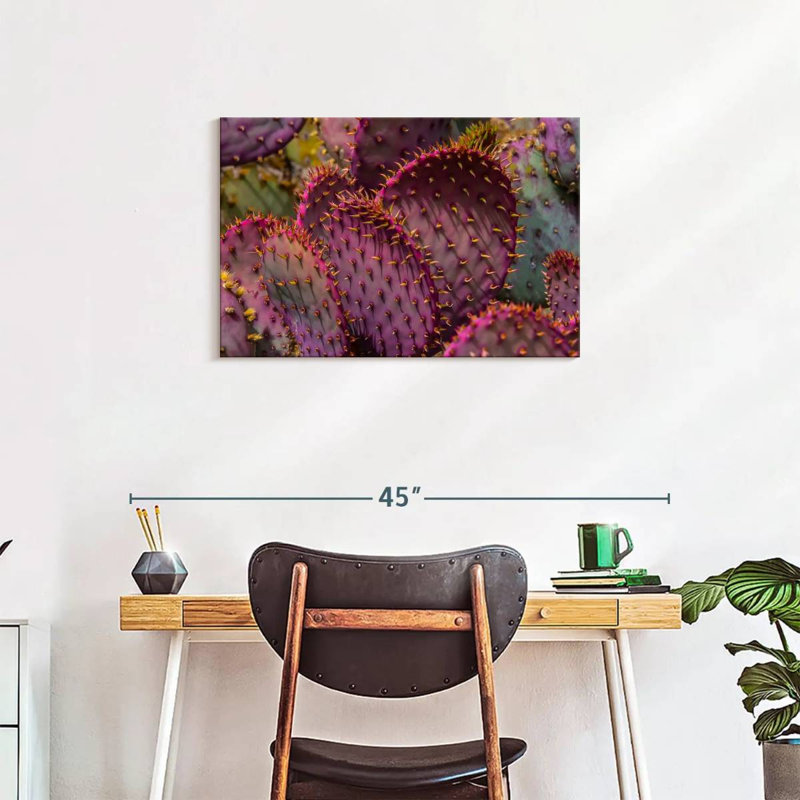 Harnek Angel Wing Cactus, 20" H x 30" W