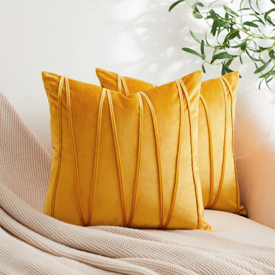 Topfinel Velvet Pillow Cover & Reviews | Wayfair