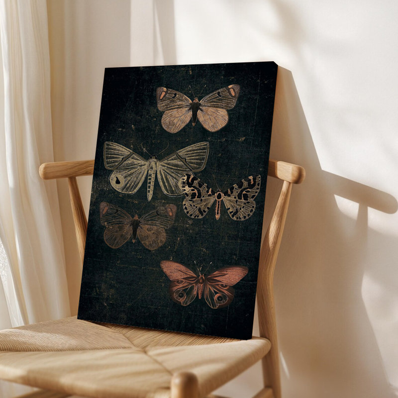 Cinq papillons exposés sur un fond texturé foncé, style de gravure rétro. Art mural encadré en toile - Cadre en bois massif de 24 po x 36 po et 1 po d'épaisseur pour le salon ou la chambre à coucher