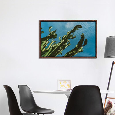 Cactus Sky III by Bethany Young - Print on Canvas