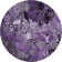 Premium Machine Washable Cerrito AMF558 Purple Rug