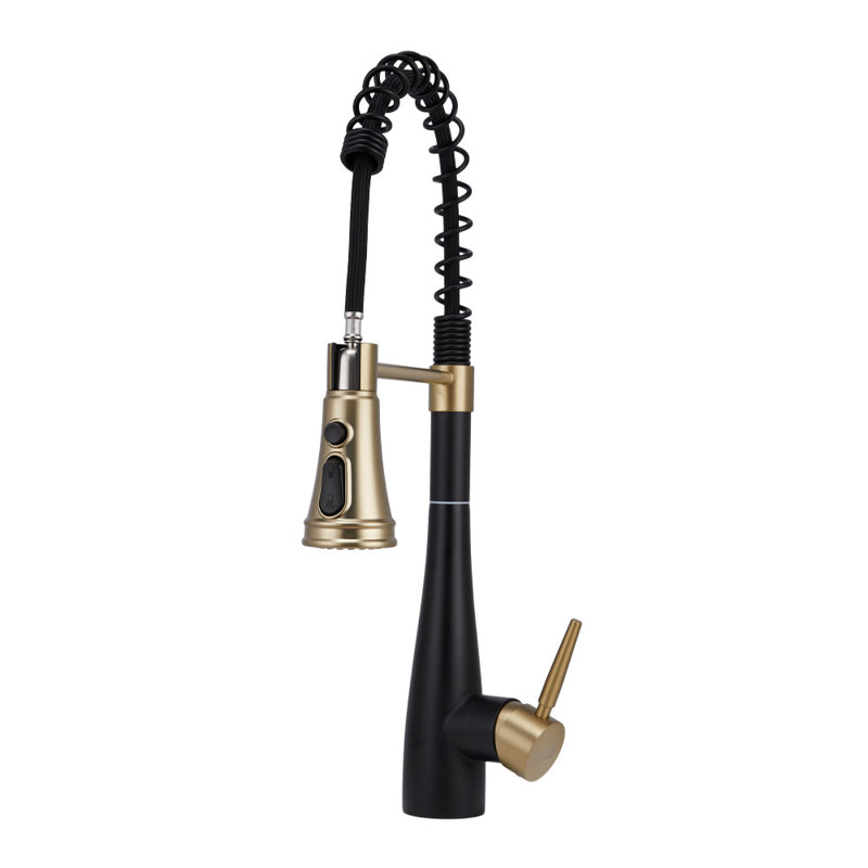 Belfry Kitchen Pull Out Kitchen Faucet, Black/Gold