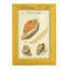 Coquilles de martini antique III sur papier-2027799081-2027799058