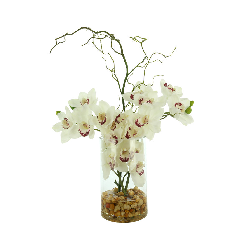 Orchid Arrangement in Glass Vase with Rocks, White