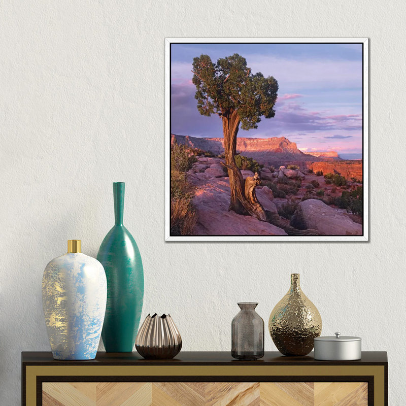 Single-Leaf Pinyon Pine At Toroweap Overlook, Grand Canyon National Park, Arizona 1 Piece Wall Art on Canvas, White Framed