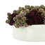 Succulents and Lucky Berries in Fiberstone Planter