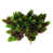 Green Coffee is out of stock