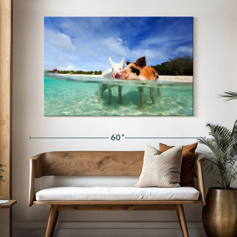 Brampt Pigs Bahamas Life, H 34 po x l 51 po