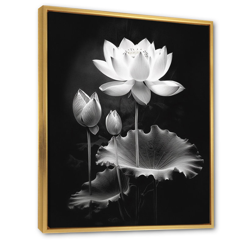 Symphonie de lotus gris gris I, Cadre flottant doré, H 20 po x l 12 po x P 1 po