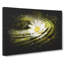 White Daisy Vol.4 Paint Splash - Wrapped Canvas Print-61880355
