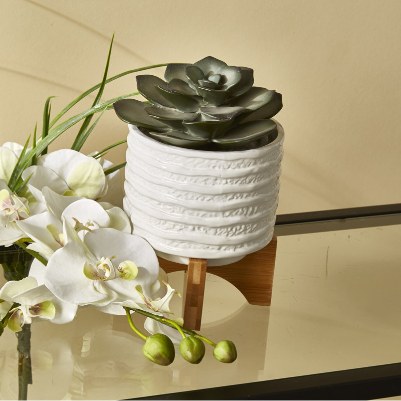Jardinière moderne en céramique texturée avec support intérieur / extérieur, H 7 po x l 6 po x P 6 po, Blanc