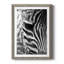 Zebra Colt - Photographie avec cadre photo-1635737520-1635737521