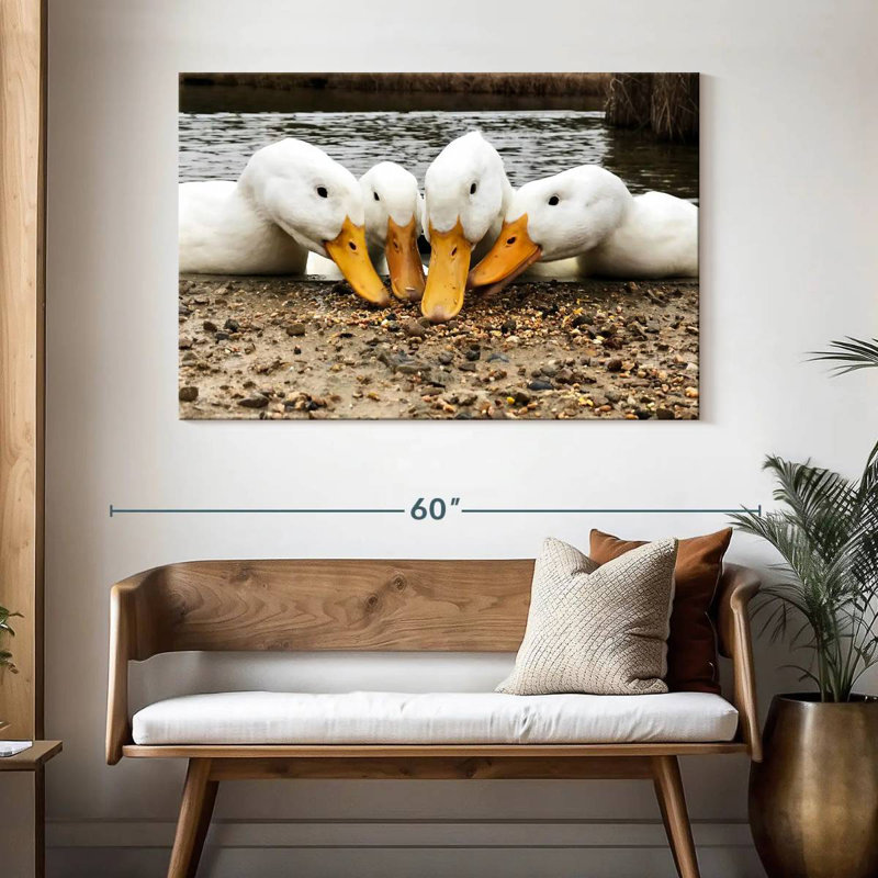 Pekin Ducks de Brampt, H 32 po x l 48 po