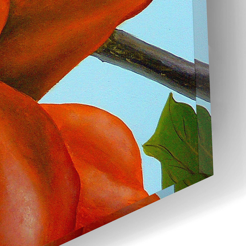 «P1100502» par Eduardo Camoes, art mural en verre acrylique, H 12 po x l 16 po x P 0,13 po