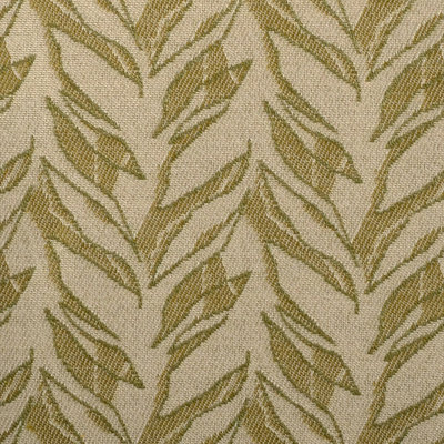 Jalene Kanani TI Fabric