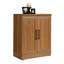 Meuble bas d'accent Leoric-740981846
