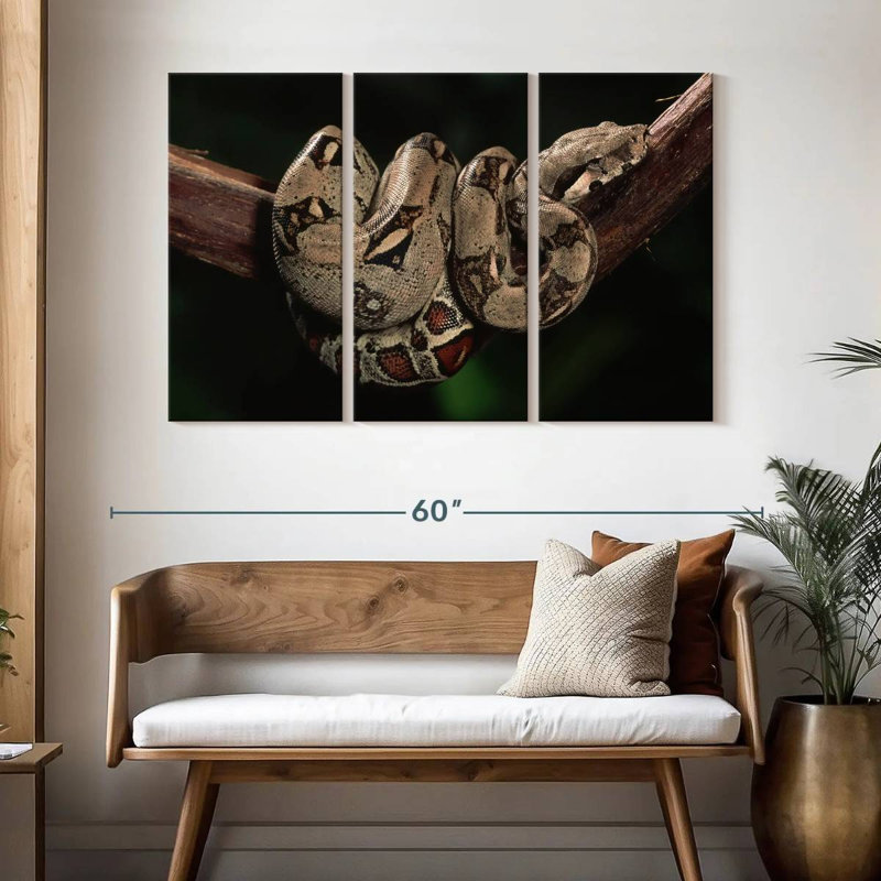 Boa Constrictor, 32" H x 50" W