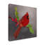 «Red Cardinal I» sur toile-1228179983