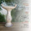 Ceramic / Porcelain Pedestal Birdbath-1647020828