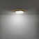 Double Decker 1 - Light LED Flush Mount