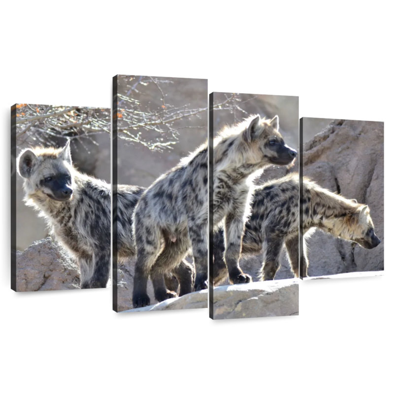 Cackle Of Hyenas, 32" H x 52" W