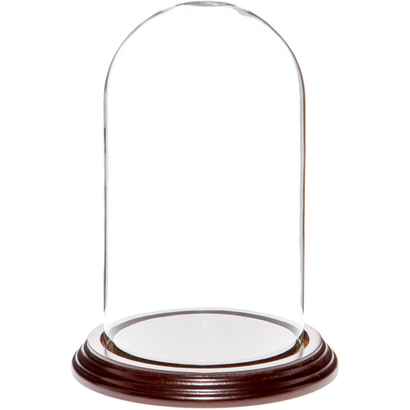 Cloche en verre 4 "x 7" Jenett, Base en placage d'acajou foncé