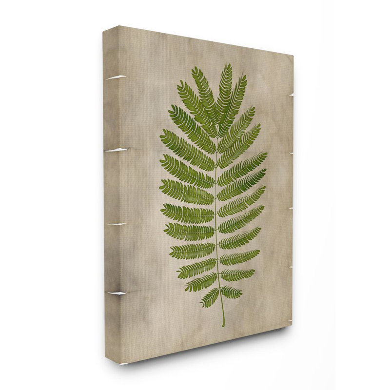 « plante parchemin green », impression, Toile tendue, H 24 po x l 30 po