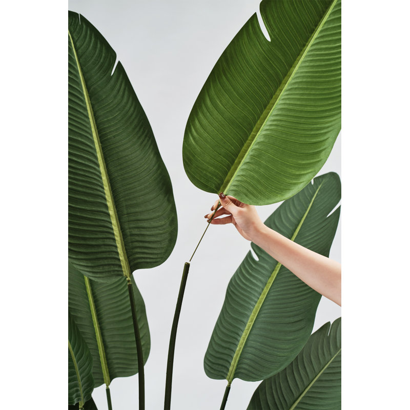 Primrue 83'' Faux Banana Leaf Tree in Pot & Reviews | Wayfair