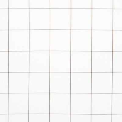 Schumacher x Veere Grenney Woodman Check Fabric