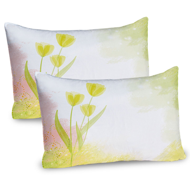 Ensemble de 2 taies décoratives Ambesonne, H 20 po x l 26 po