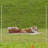 Fence Panels-88637651
