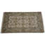 Pasleigh Oriental Area Rug in Cream